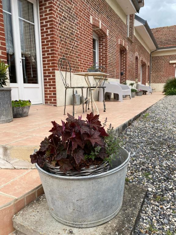 Zahrada ubytování Chambres d hôtes La Suite du 12