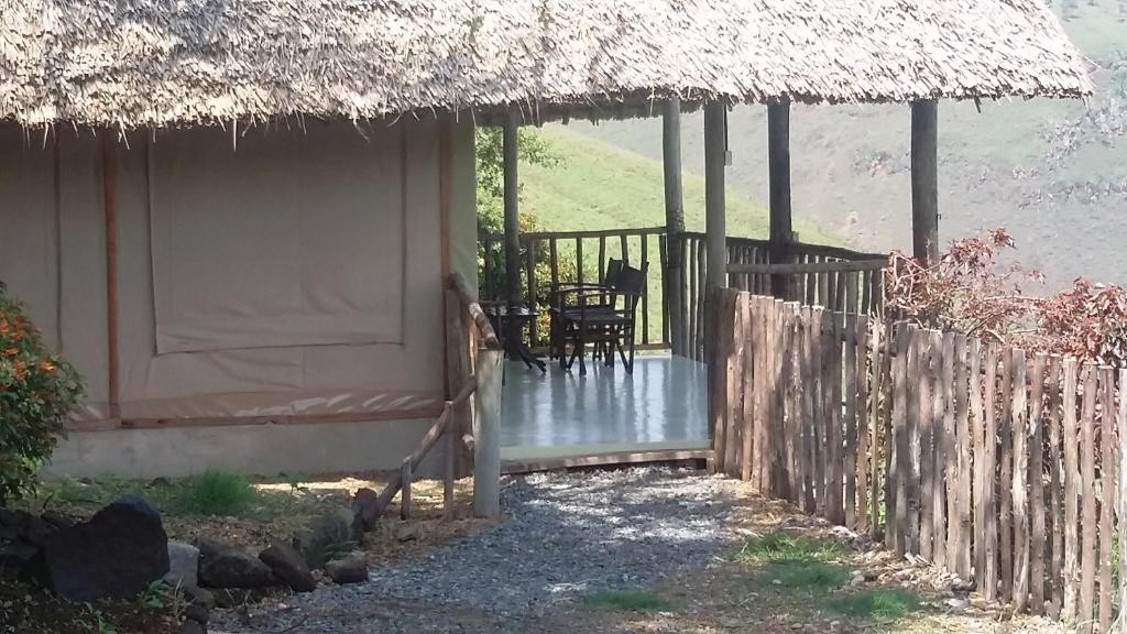 Zahrada ubytování Maili Saba Camp