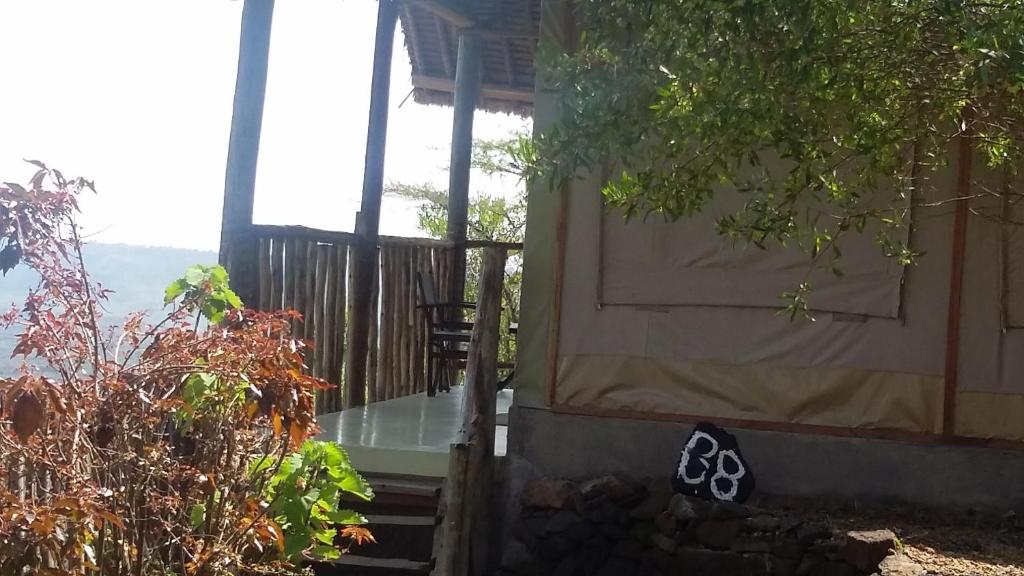 Zahrada ubytování Maili Saba Camp