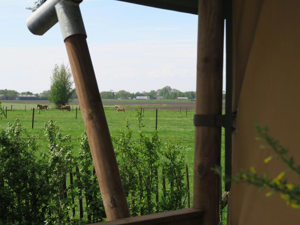 Zahrada ubytování Luxe safaritenten Petit013 - nieuw