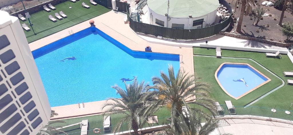 einen Blick über einen großen Pool mit Palmen in der Unterkunft Seven floor at Playa del Ingles in Playa del Ingles