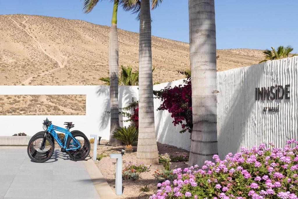 a blue bike parked next to a building with palm trees at INNSiDE by Meliá Fuerteventura – Adults Only in Costa Calma