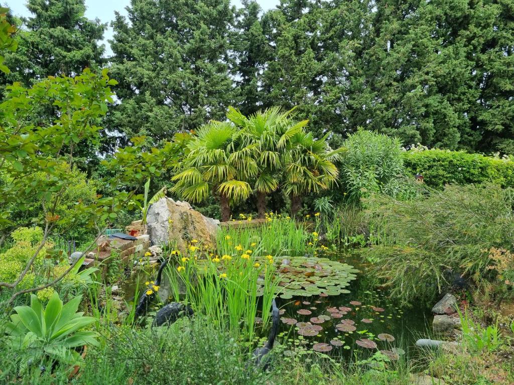 Zahrada ubytování Garden apartment