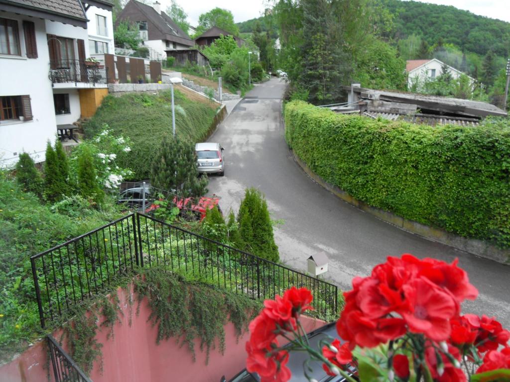 Příroda nedaleko bed and breakfast