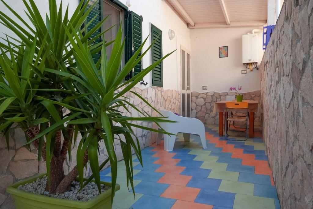 a room with a colorful floor with a chair and a plant at B&B Tor Di Lupo in Mattinata