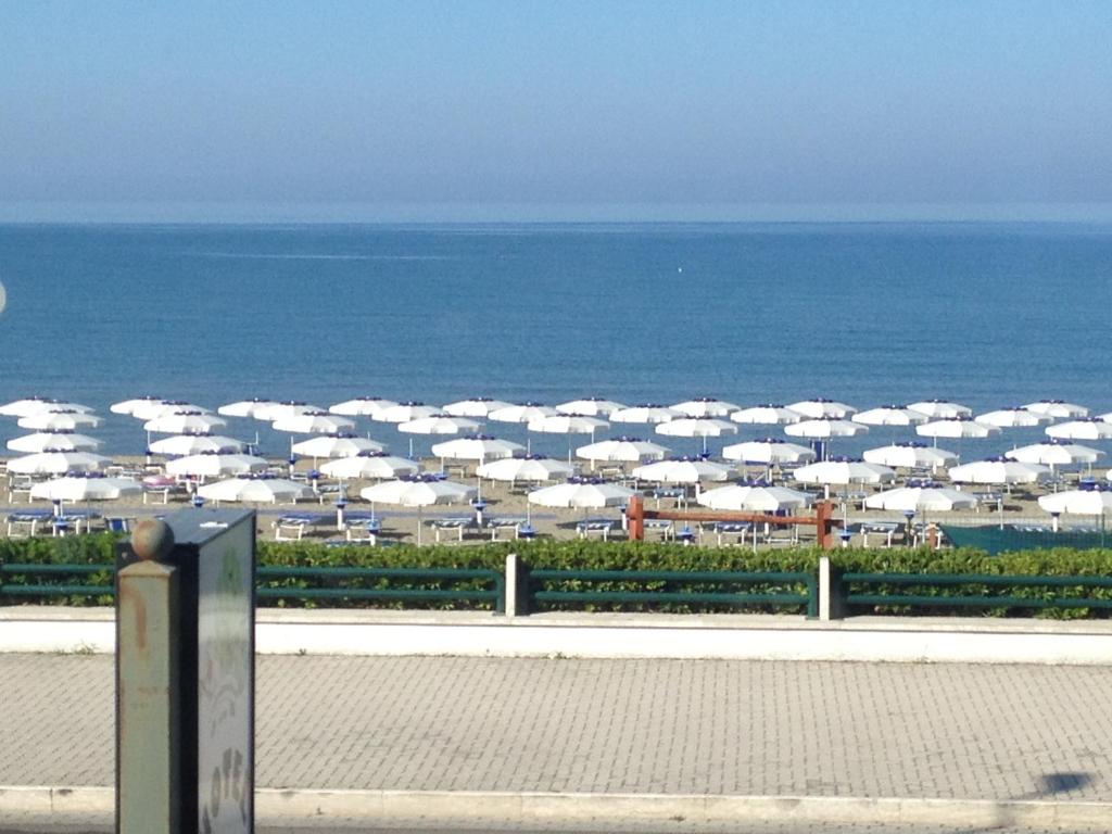 Příroda nedaleko hotelu