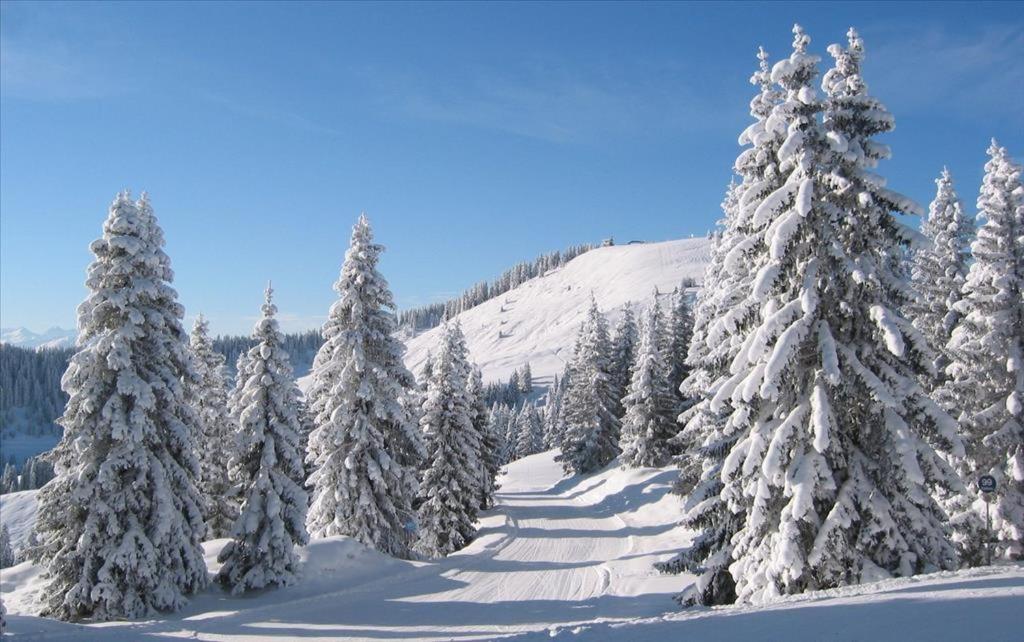 Oberachenhof v zime