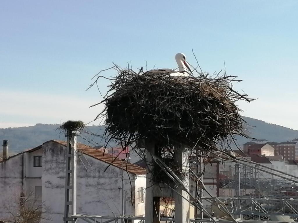 Výhľad na hory alebo výhľad na hory priamo z apartmánu