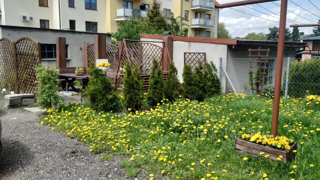 Vonkajšia záhrada v ubytovaní Apartament 3-go Maja