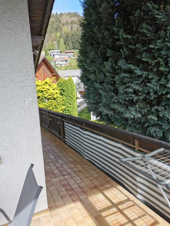 Příroda nedaleko apartmánu