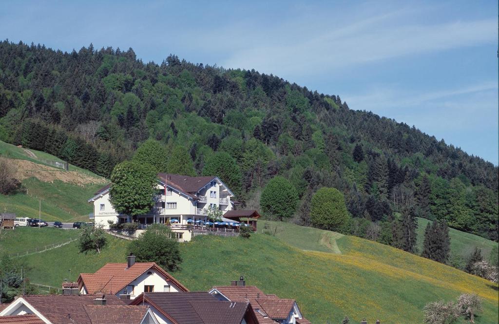 Příroda nedaleko hotelu