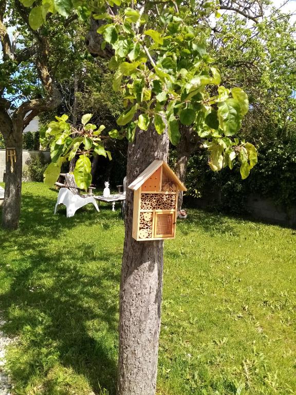 Zahrada ubytování O Douceurs Sucrées Cabourg