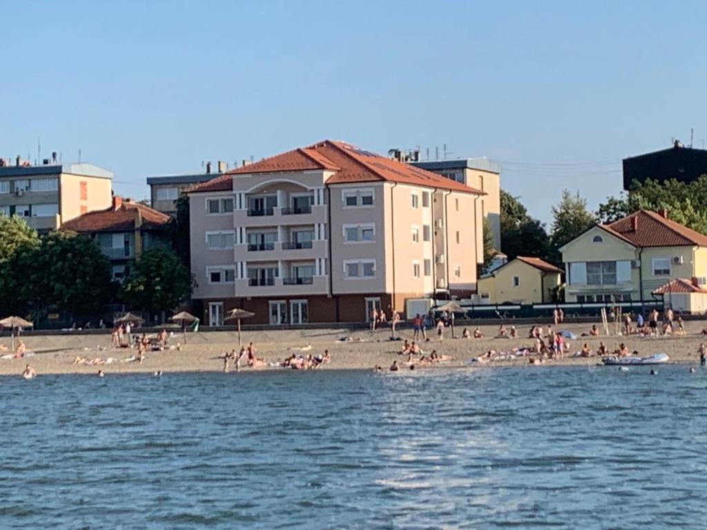 eine Gruppe von Menschen an einem Strand in der Nähe des Wassers in der Unterkunft Danubiana Apartments in Kladovo