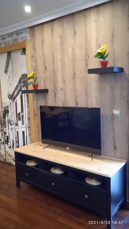 TV a/nebo společenská místnost v ubytování Apartamento con terraza al Puente Romano