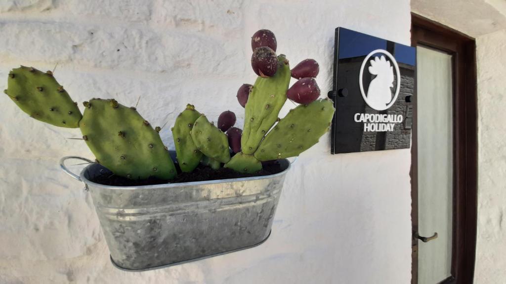 Kép Capodigallo Holiday Trullo Monte Santo szállásáról Alberobellóban a galériában