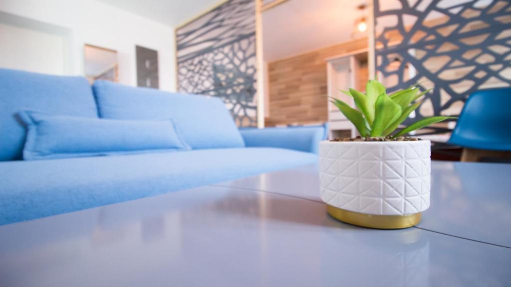um vaso de planta sentado numa mesa numa sala de estar em Appartel 76 Dieppe em Rouxmesnil-Bouteilles