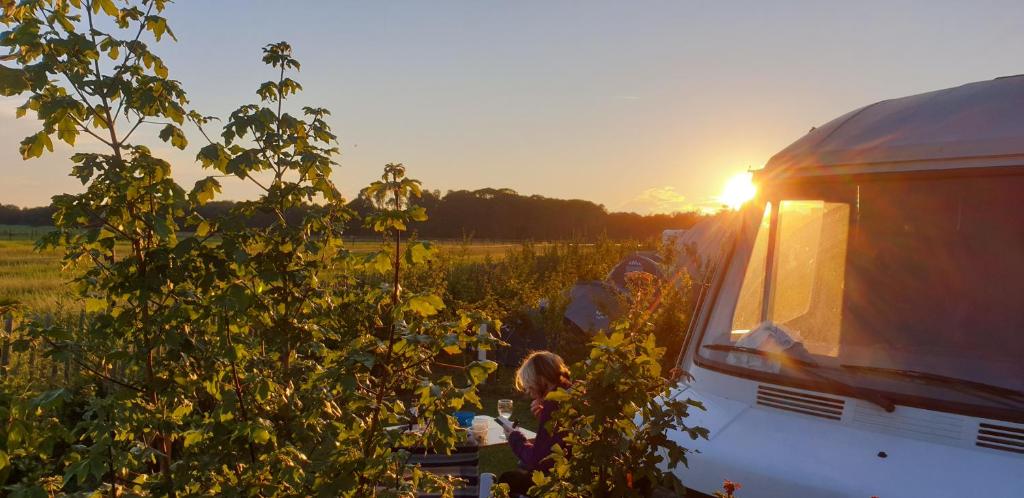Východ nebo západ slunce při pohledu z luxury tent nebo okolí