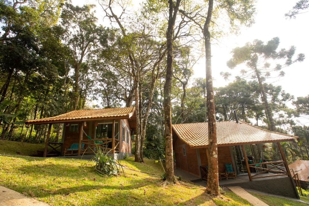  Bosque das Araucárias