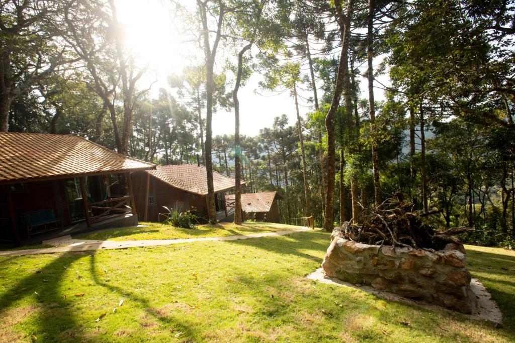  Bosque das Araucárias