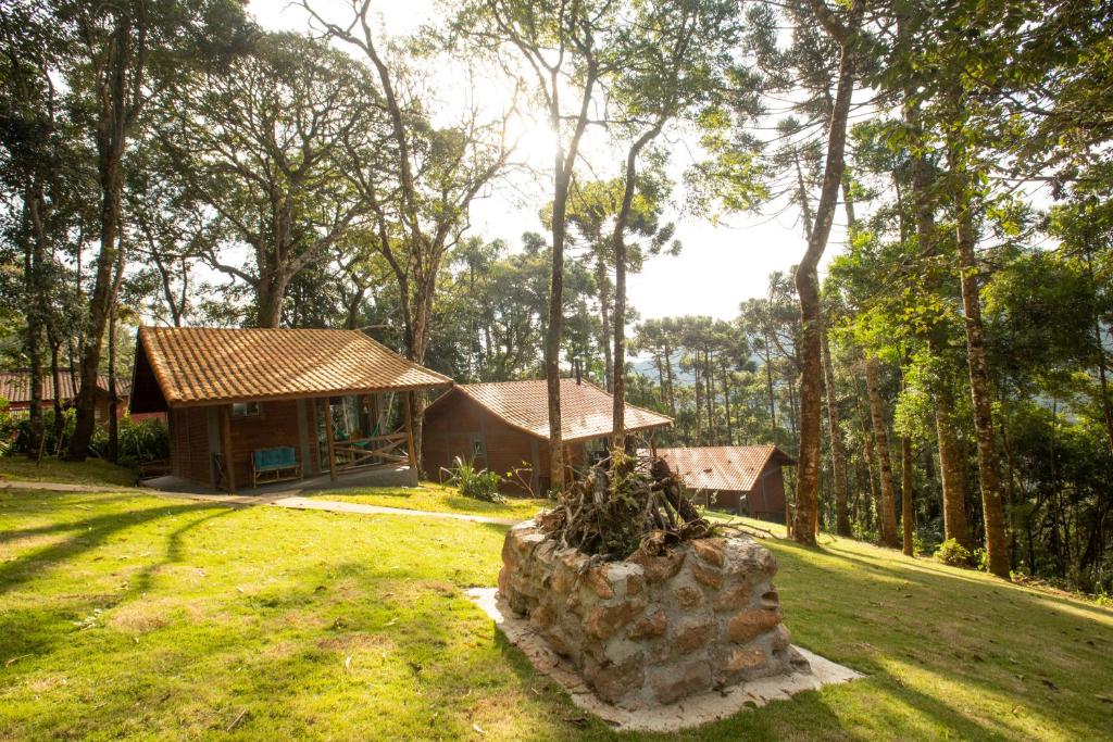  Bosque das Araucárias