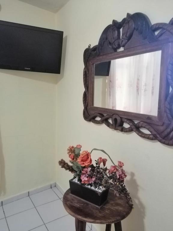 TV a/nebo společenská místnost v ubytování Hotel Chely