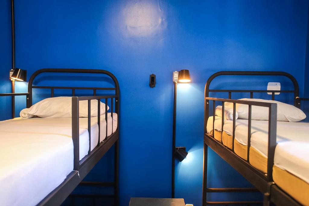  OVibe Hostel & Arts