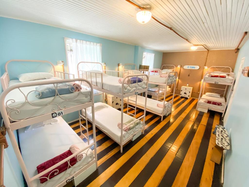 Gallery image of ÔVibe Party Hostel in Belém