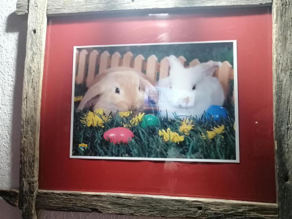 Estancia Renacimiento - Sala Regina