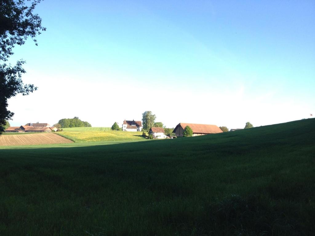 Příroda nedaleko bed and breakfast