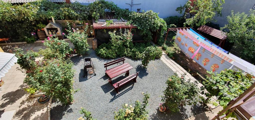 Zahrada ubytování Hostel Casa Cinderella