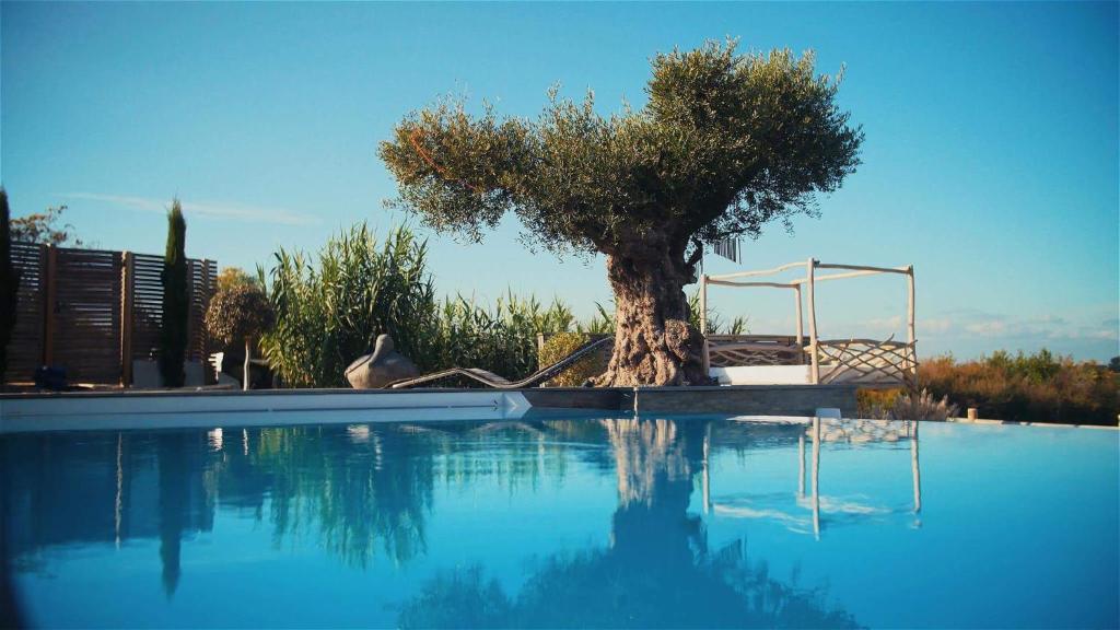 Photo de la galerie de l'établissement Villa de luxe avec piscine, vue imprenable, à Séné