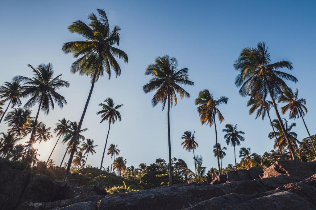  Piê Ecovila