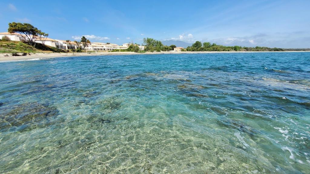 une grande étendue d'eau avec une plage dans l'établissement Résidence Marina Di Bravone, à Linguizzetta