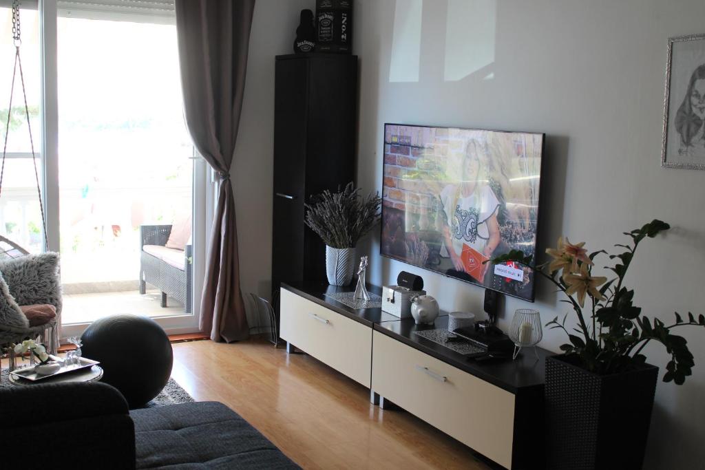 Televízia a/alebo spoločenská miestnosť v ubytovaní Apartment Andrina