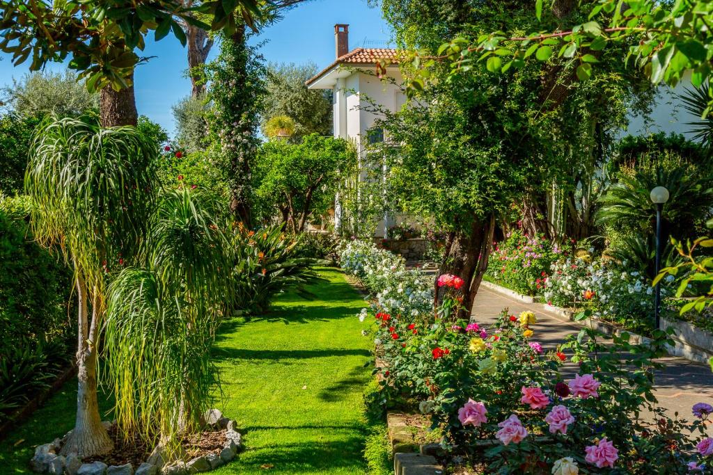 Ogród w obiekcie Villa Donna Elisa Sorrento
