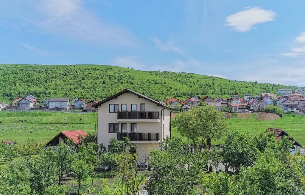 a house in the middle of a town with a hill at Pensiunea Albina in Sînnicoară