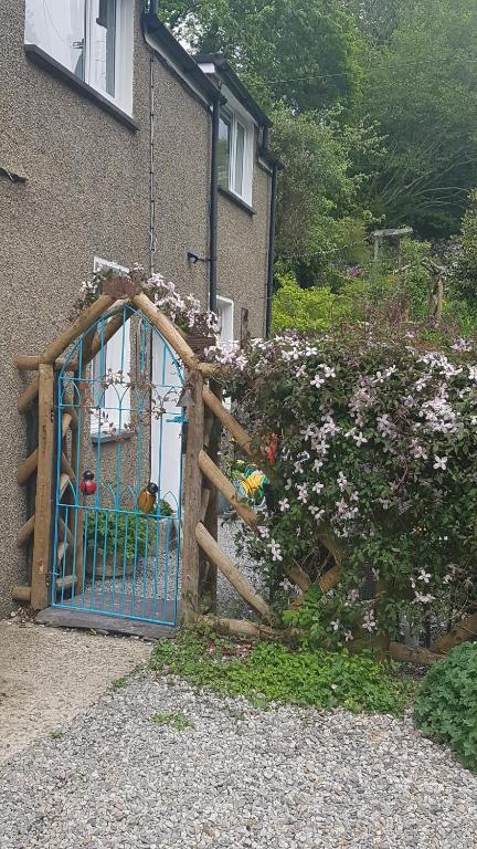 a blue gate in front of a house with flowers at Yr Hen Farcdy in Talsarnau
