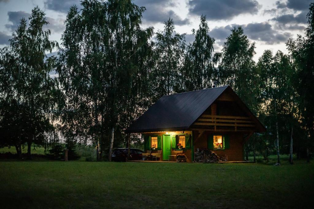 una pequeña cabaña con techo negro en un campo en GREEN HOUSE, en Krasnopol