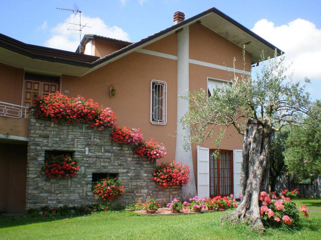 カステルヌオーヴォ・マグラにあるNel Giardino Degli Uliviの花の家