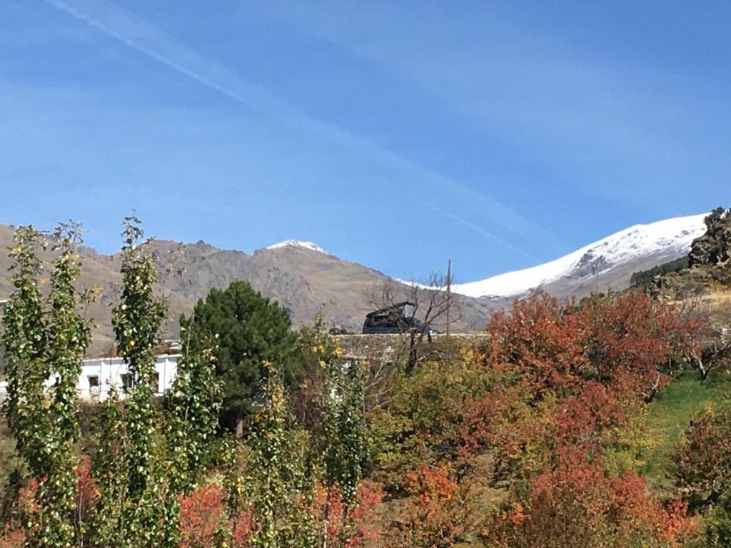 La Gitana.Vistas Mulhacen y Veleta., Capileira – Updated 2022 ...