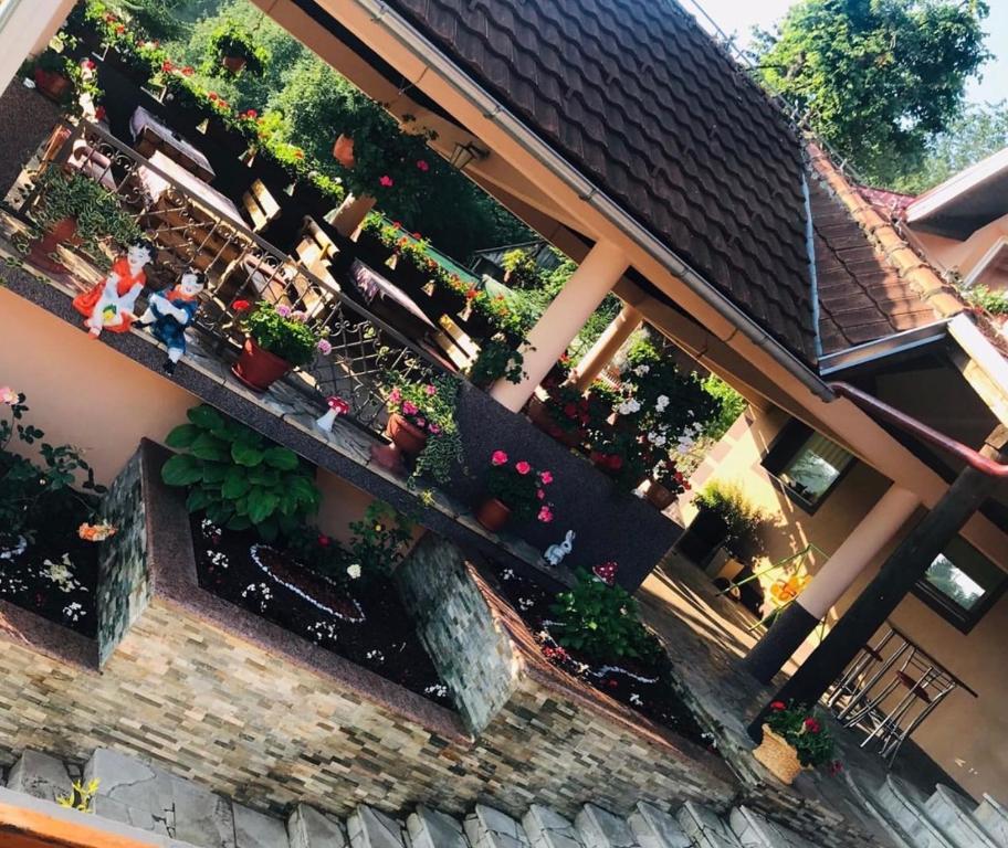 姆爾科尼奇格勒的住宿－Restoran sa sobama za iznajmljivanje MALI RAJ，建筑一侧种植盆栽植物的阳台