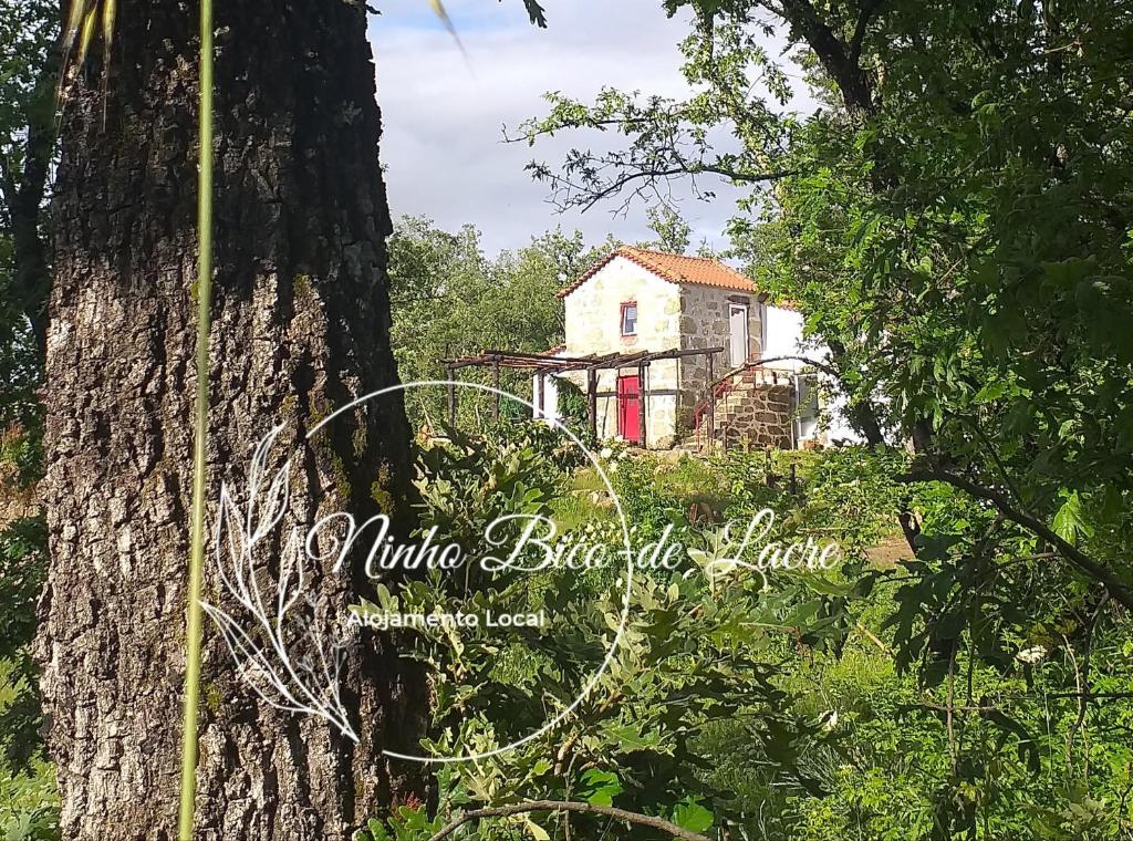 uma imagem de uma árvore com uma casa ao fundo em Ninho Bico-de-Lacre ~ o paraíso é a/na Terra em Balocas
