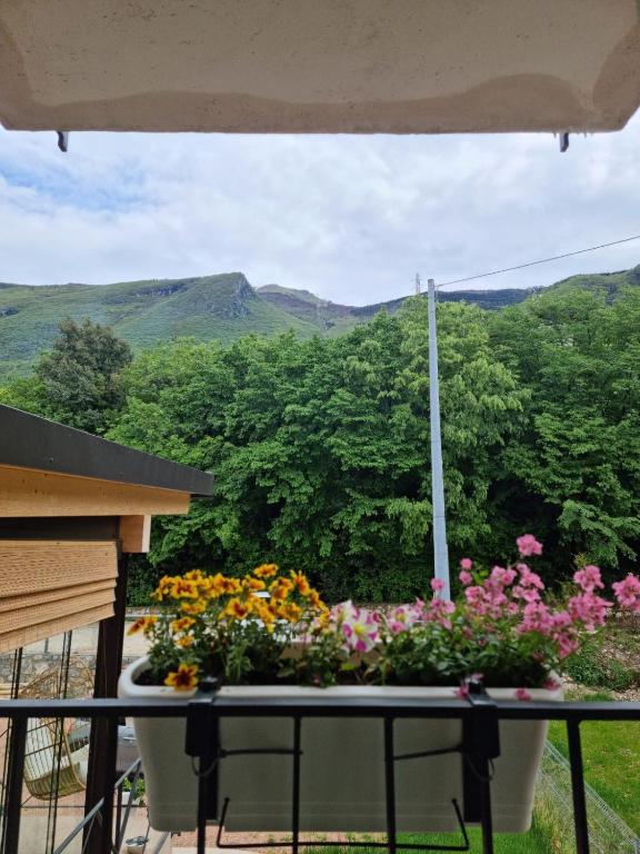 Nespecifikovaný výhled na hory nebo výhled na hory při pohledu z bed and breakfast