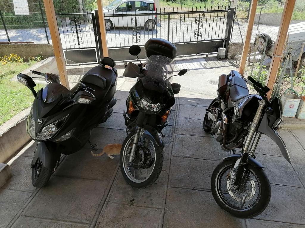 Jimmis old kalampaka house - 9