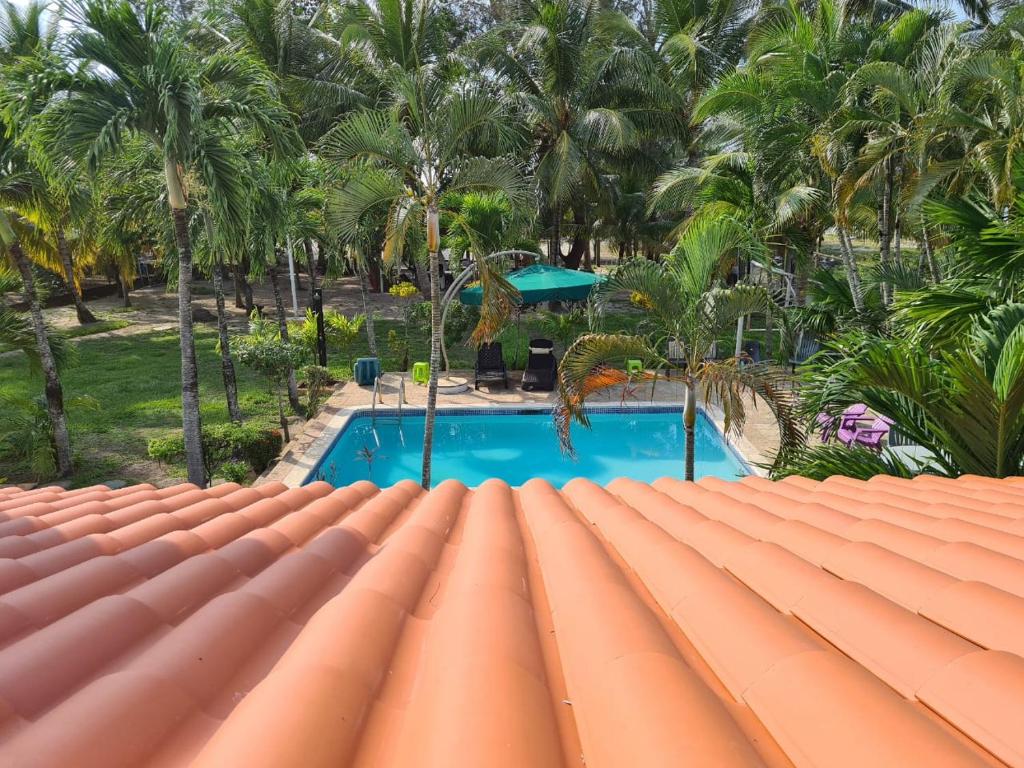 Bazén v ubytování Casa del Arte, a luxury beachfront villa with private pool nebo v jeho okolí