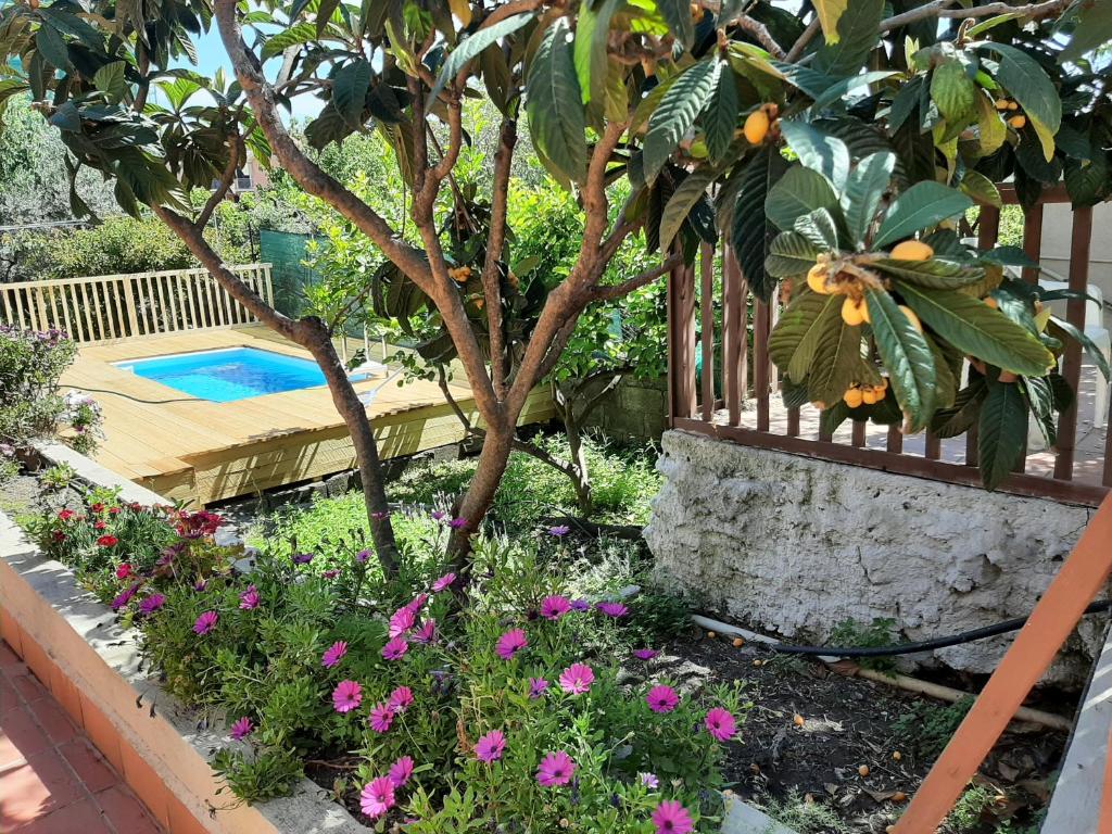 einen Garten mit einem Baum und Blumen neben einem Pool in der Unterkunft Carrubo - Giardino in città in Catania