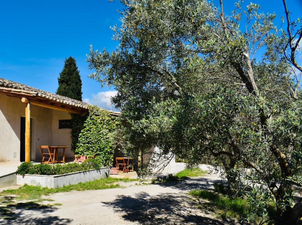una casa con un árbol delante de ella en La Casa del cancello di Borgo Carbone, en Locri