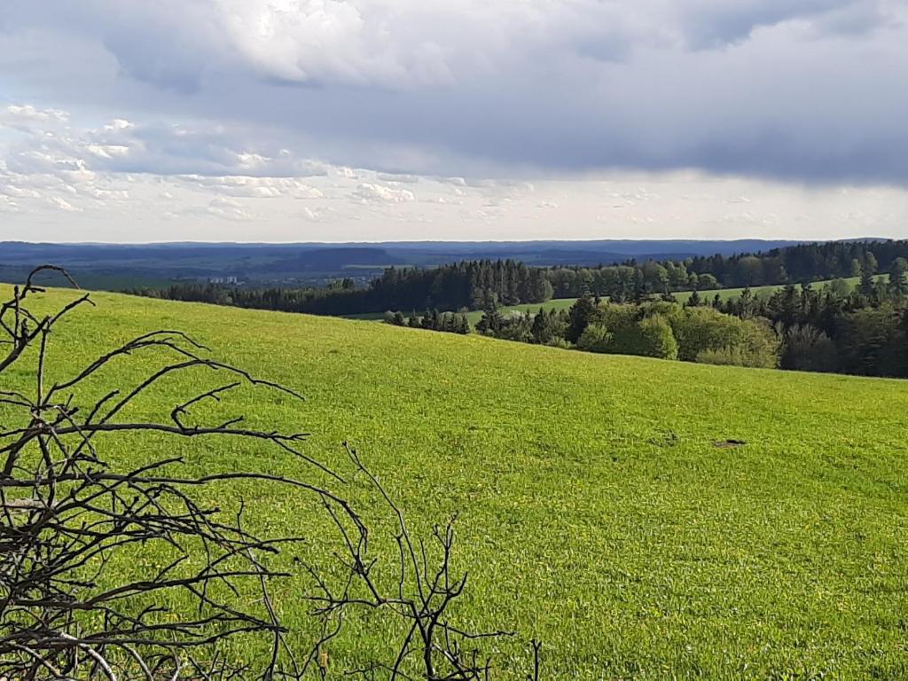 Příroda nedaleko apartmánu