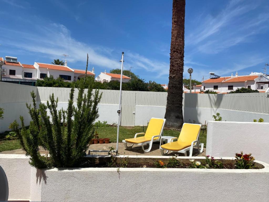 two yellow chairs and a palm tree in a yard at Altura Inn Cottage in Altura