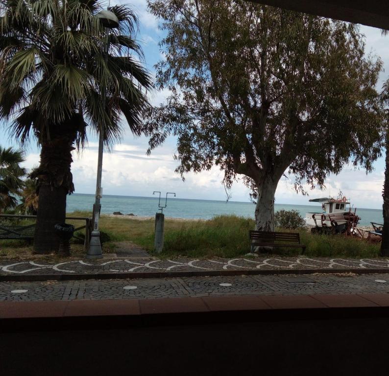 Blick auf einen Strand mit einem Baum und einer Bank in der Unterkunft Casa Antonella Caronia Marina in Caronia Marina